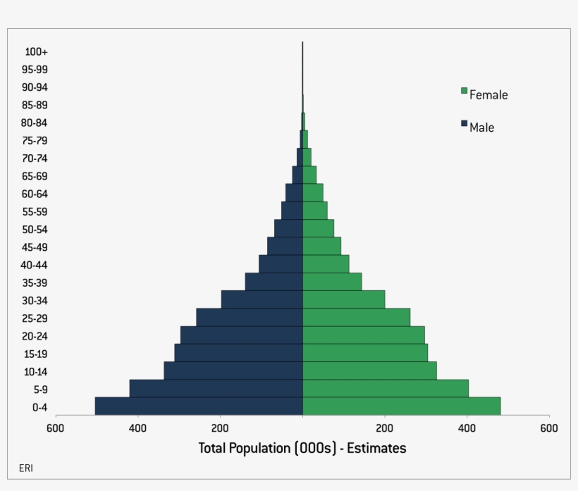 Eritrea Population Pyramid - Uganda Population Pyramid 2016, transparent png download