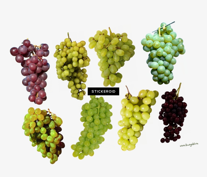 Grape - Rsvp Green Marble Cheese Slicer, transparent png download