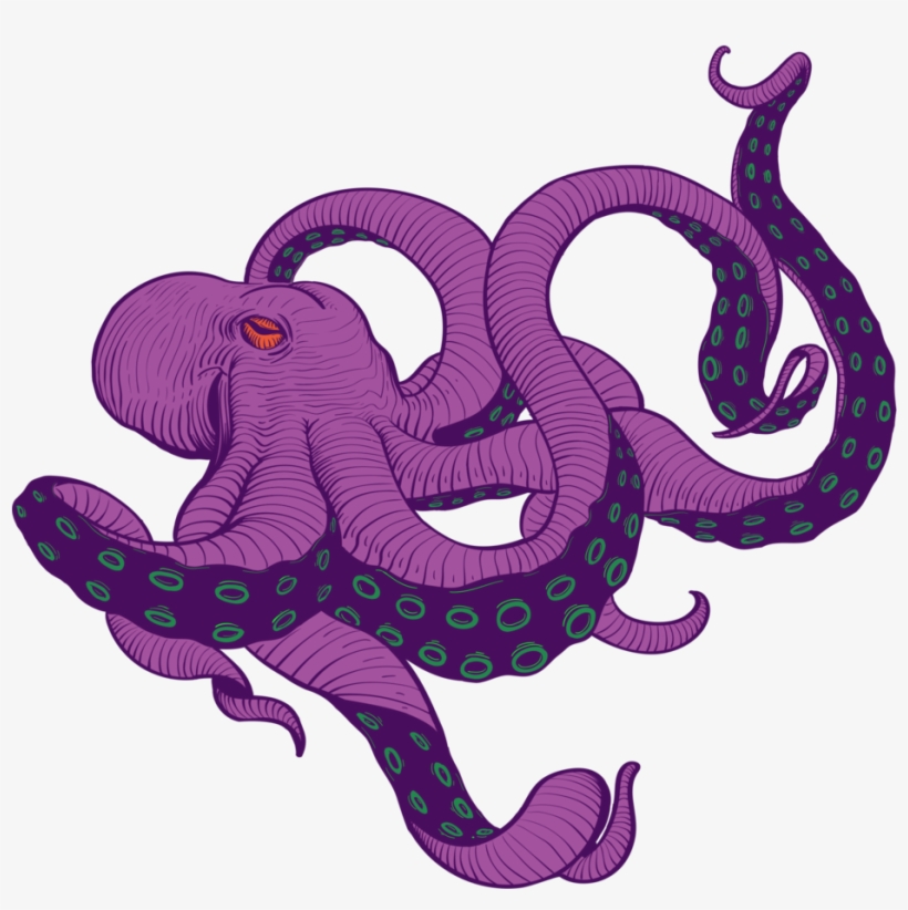Octopus, transparent png download