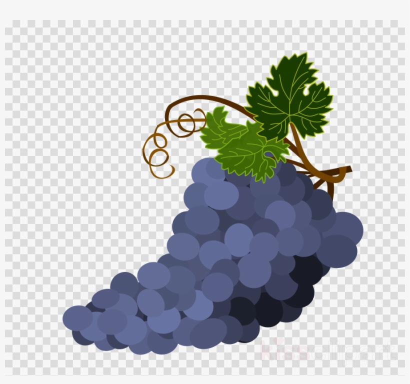 Download Bowl Of Grapes Transparent Background Clipart Grape Transparent Png 900x800 Free Download On Nicepng