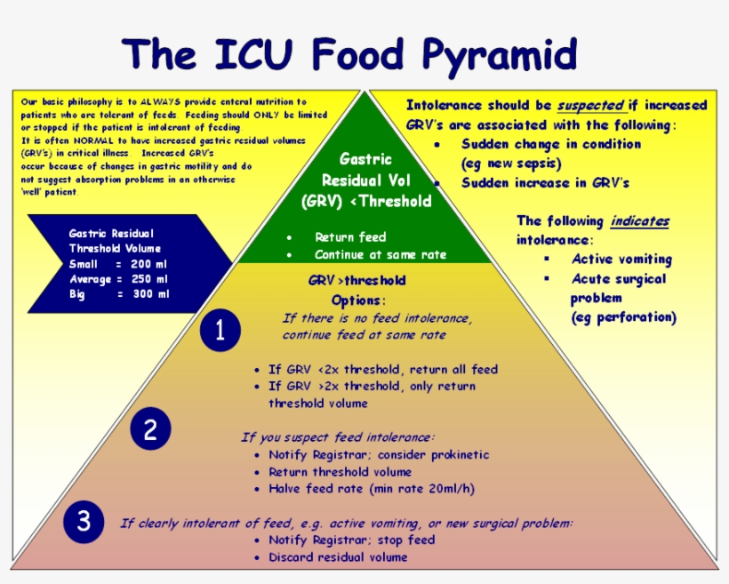 Click Here For A Larger Viewicu Food Pyramid - Andrew Mech, transparent png download