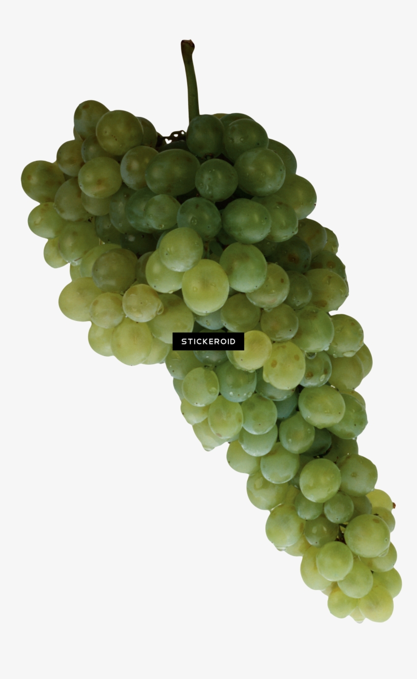 Grape, transparent png download