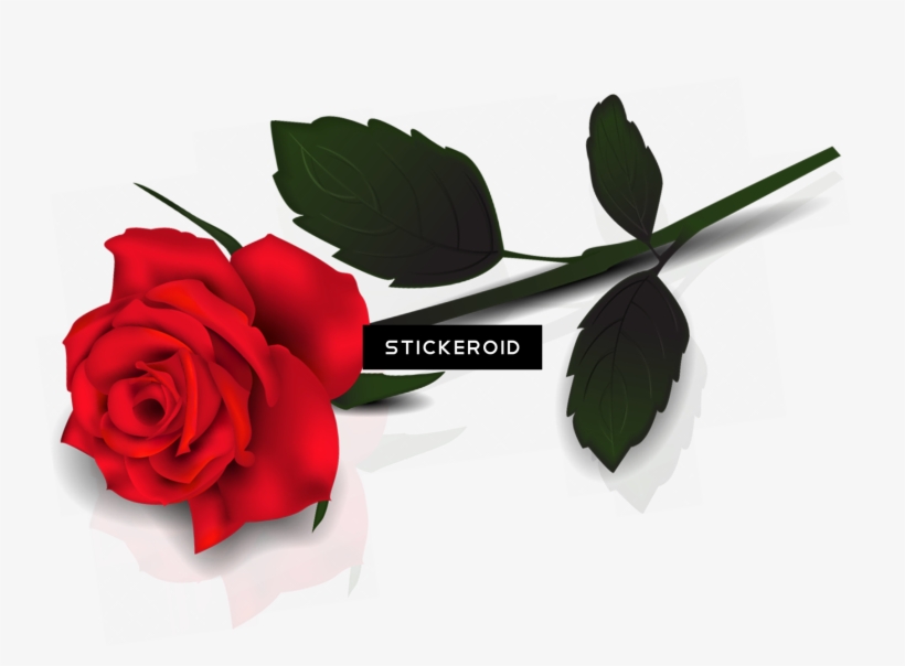 Rose Clipart Transparent Background, transparent png download