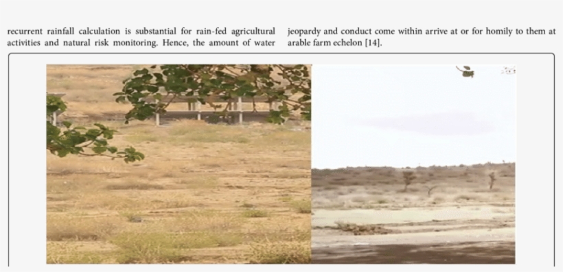 Expansion Of Desert In Areas - Tree, transparent png download