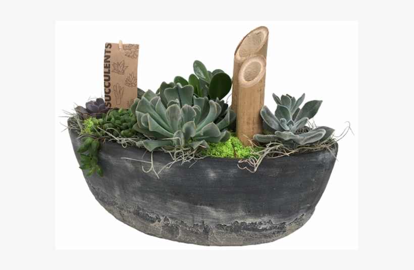 The Succulent Boat - Ontario, transparent png download