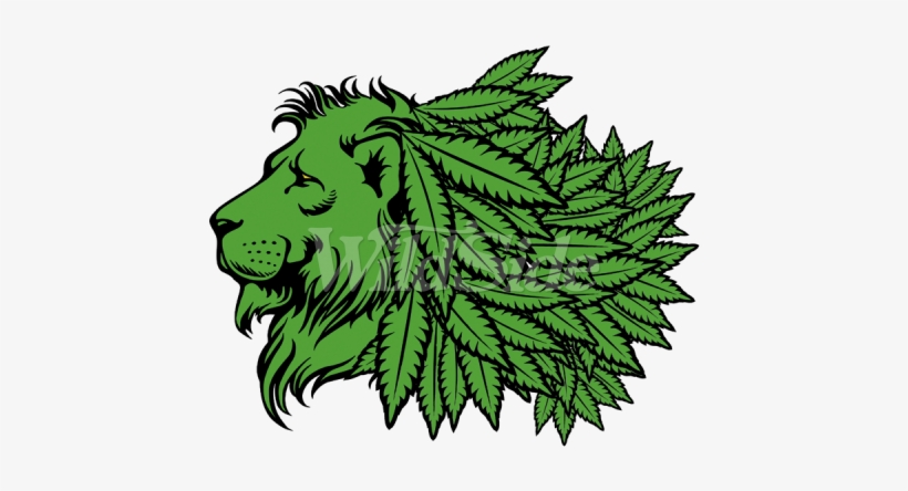 Green Lion Head With Marijuana Leaf Mane - Cannabis Png, transparent png download