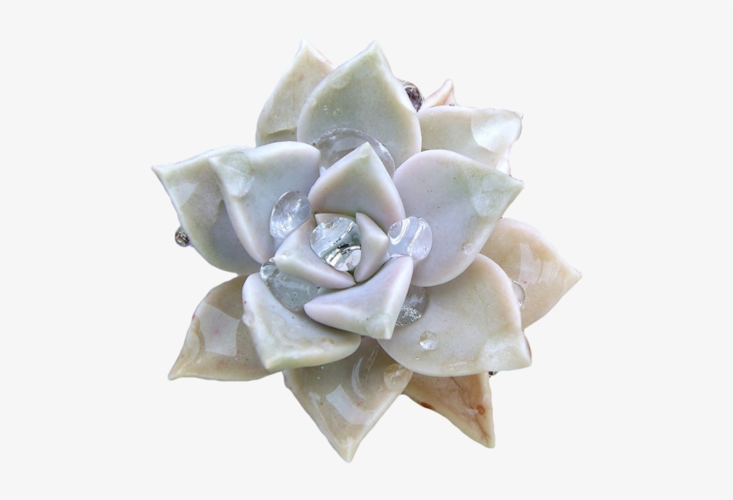 Related Image Transparent Flowers, Floral Style, Succulents, - Graptopetalum Paraguayense, transparent png download