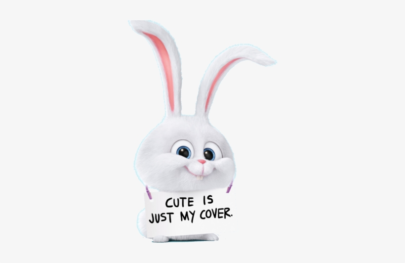 Domestic Rabbit, transparent png download