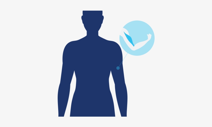 Muscle Icon Muscle Active Icon - Money Back Guarantee, transparent png download