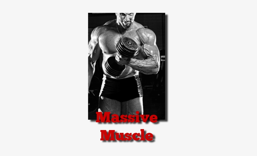 Bodybuilding How To Gain Muscle - Physical Fitness, transparent png download