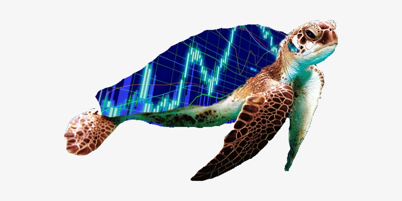 Sure, So One Lazy Sunday Afternoon I Was Hanging Out - Sea Turtle Swimming [book], transparent png download