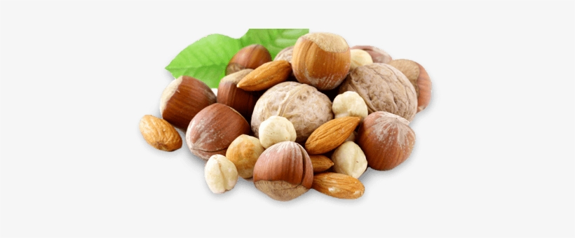 Snacks The Best Organic Snacks From Around The World - Seed Hazelnut Toronto Canada, transparent png download