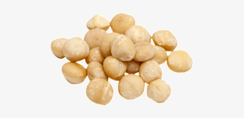Macadamia Nuts Transparent Image - Orzechy Macadamia Bio 20 Kg Horeca Bio Planet, transparent png download