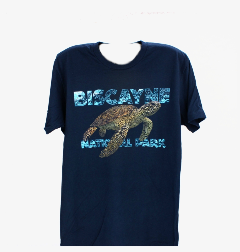 T-shirt Biscayne Turtle Lg - Kemp's Ridley Sea Turtle, transparent png download