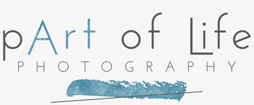 Big Bright Light Show Rochester Mi Photographer - Design, transparent png download