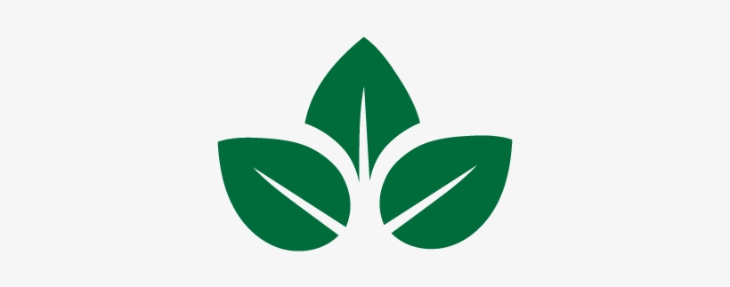 Matsuishi Shijo Karasuma Hostel, transparent png download