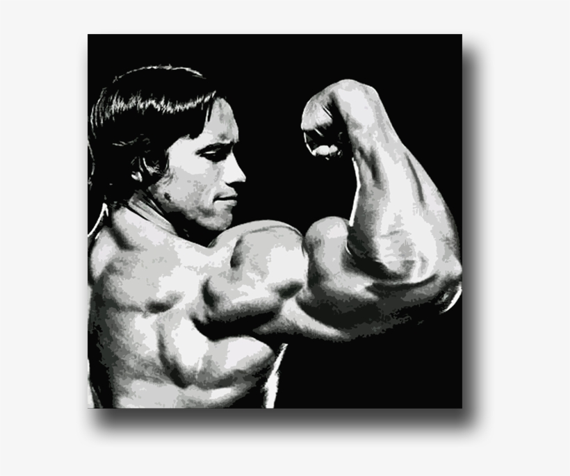 Image Of Arnold Schwarzenegger - Arnold Schwarzenegger Mister Muscle, transparent png download