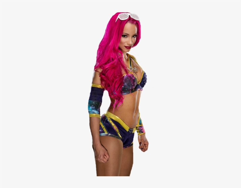 Sasha Banks Png - World Wrestling Divas Official 2018 Calendar - A3 Poster, transparent png download