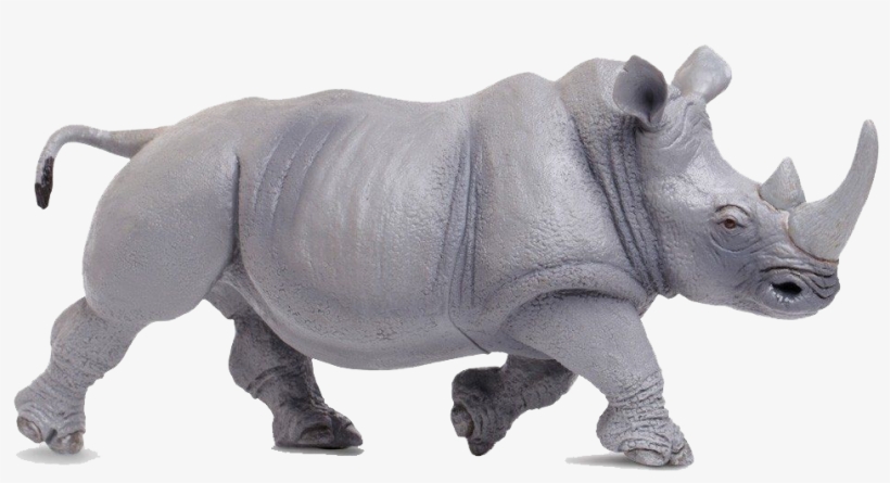Rhinoceros Safari Ltd Toy, transparent png download