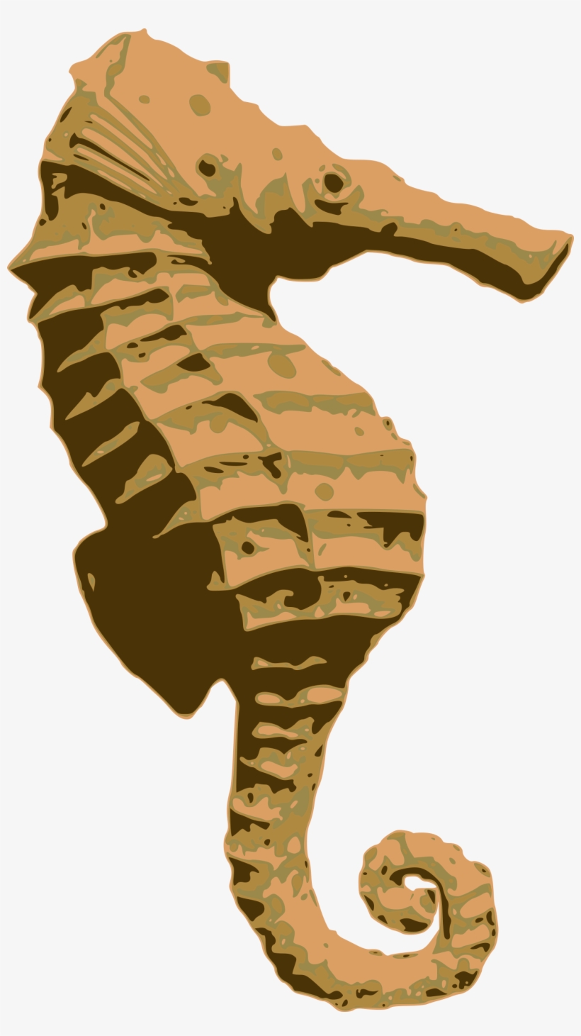 Big Image - Seahorse, transparent png download