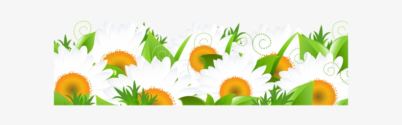 Decoration With Daisies Png Picture - Vector Graphics, transparent png download