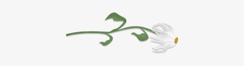 5, transparent png download
