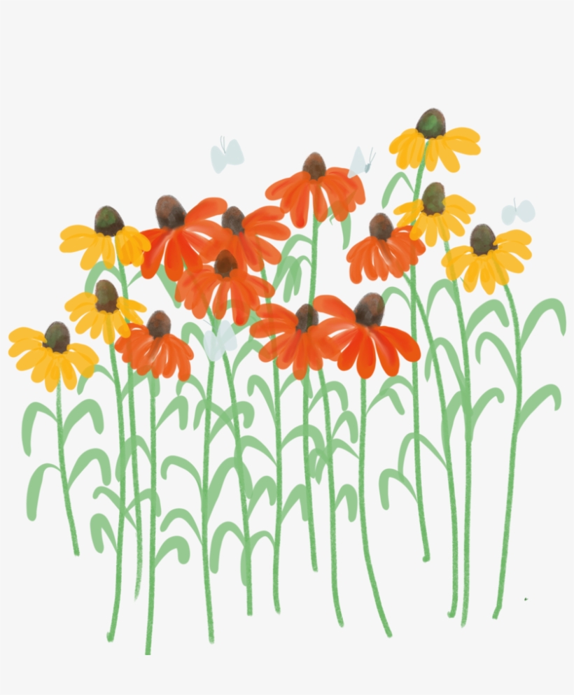 Daisies In A Bunch, transparent png download