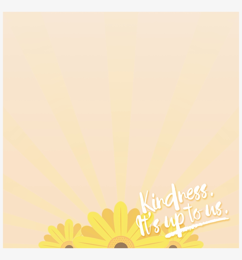 5-2x - African Daisy, transparent png download