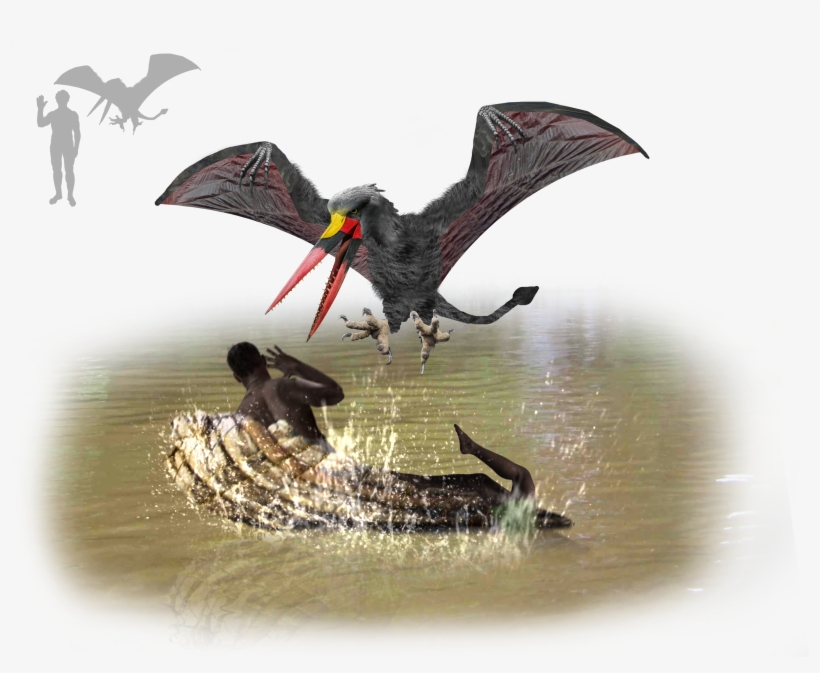 Flying Snake Of Namibia, transparent png download