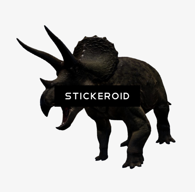 Triceratop Animals Dinosaur Reptile - Triceratops, transparent png download
