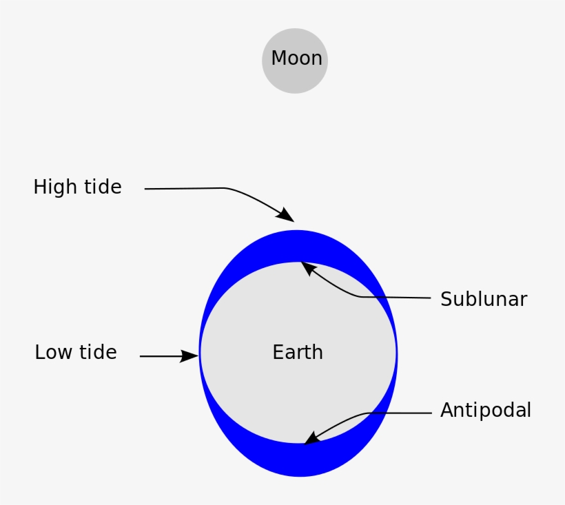 Image Courtesy Of Wikipedia User Jhbdel Under The Creative - High Tide Diagram, transparent png download