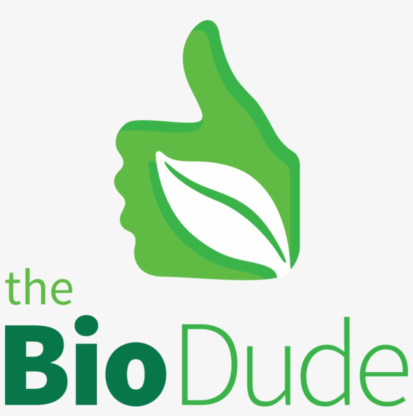 The Nitrogen Cycle And Bioactive Terraria, transparent png download