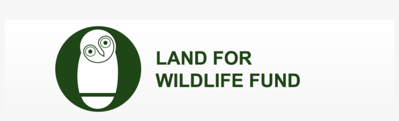 Chase Property - Napier Lake, transparent png download