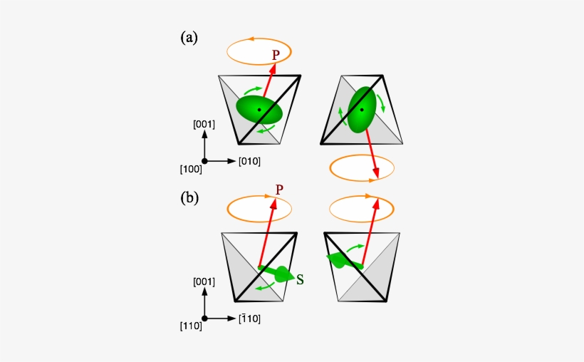 Schematic Plot Of The Q1 Quadrupolar Mode For H∥[100] - Hat, transparent png download
