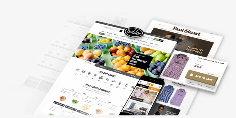 Bg-ecommerce - Web Design, transparent png download