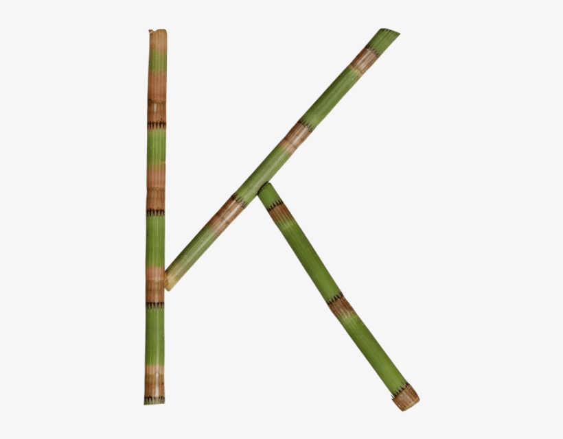 Bamboo Strong Typeface - Typeface, transparent png download