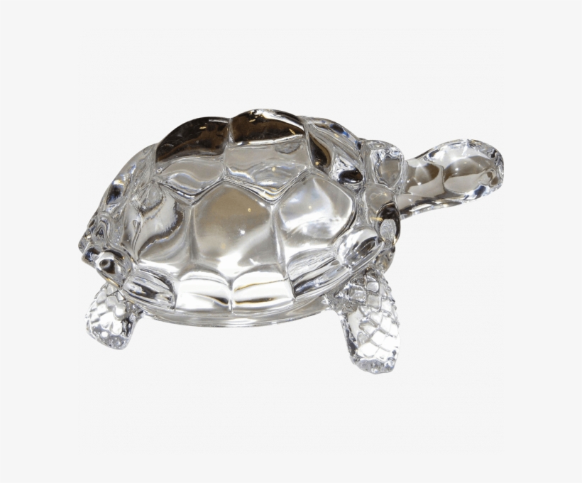 Crystal Turtle - Crystal Turtle Png, transparent png download
