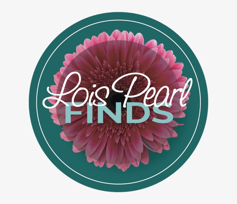 Lois Pearl "finds" Box - Barberton Daisy, transparent png download