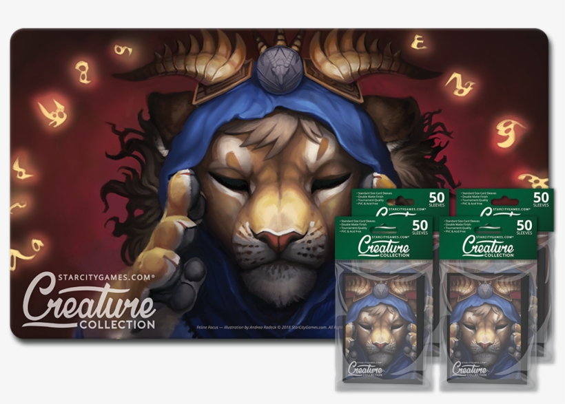 Feline Focus, transparent png download