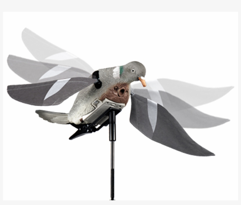 Lucky Duck Rapid Flyer Pigeon - Flapping Pigeon Decoys, transparent png download