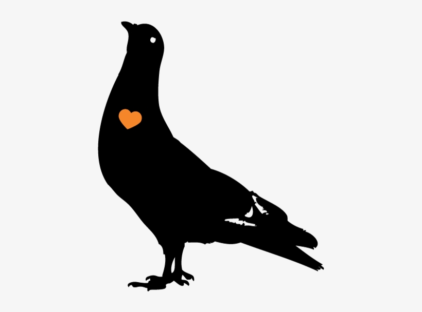 You Vs The Guy She Tells You Not To Worry About Bird, transparent png download