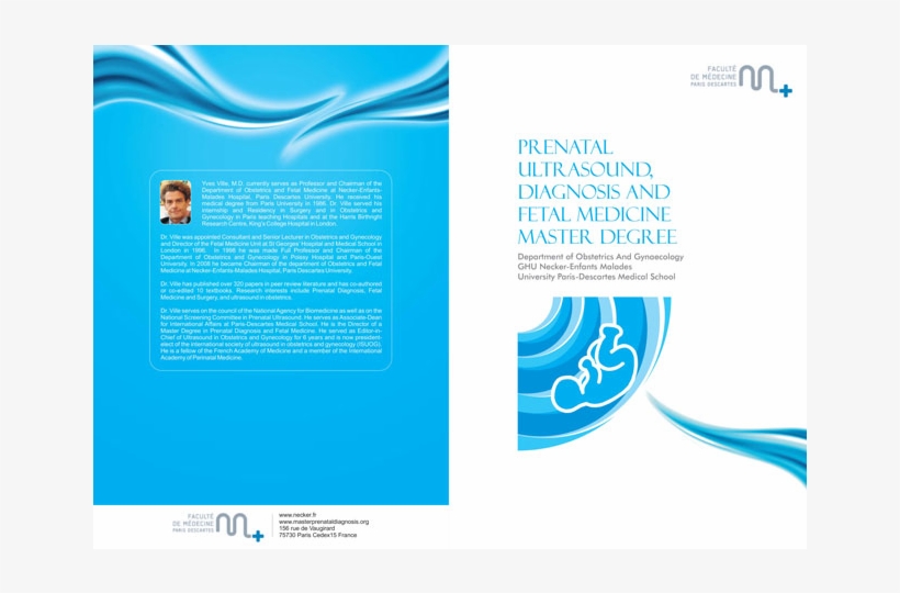 Brochures - Design, transparent png download