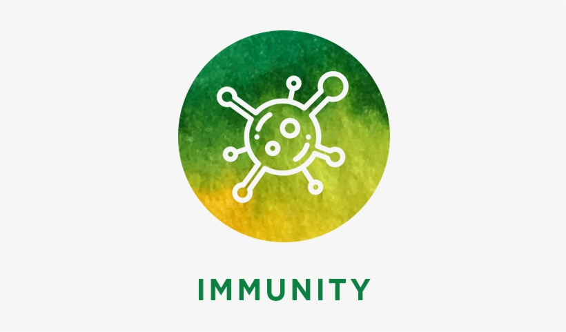 Description - Circle, transparent png download