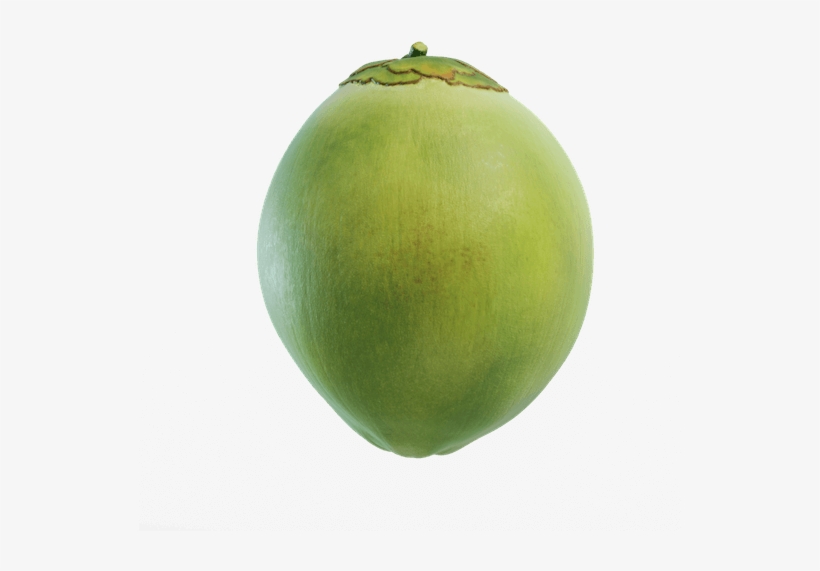 No Light, No Air - Green Coconut Fruit Png, transparent png download