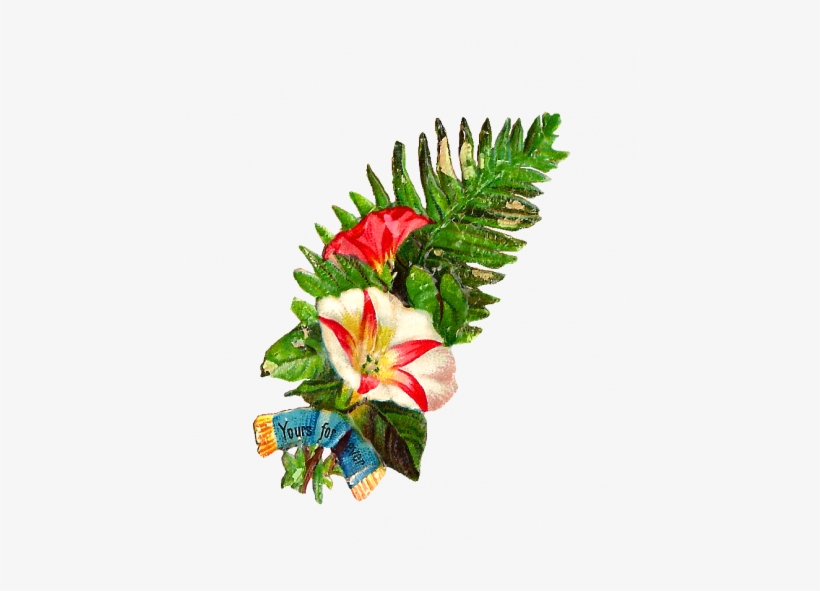 Fern Clipart Artificial Flower Transparent Png 450x511 Free Download On Nicepng