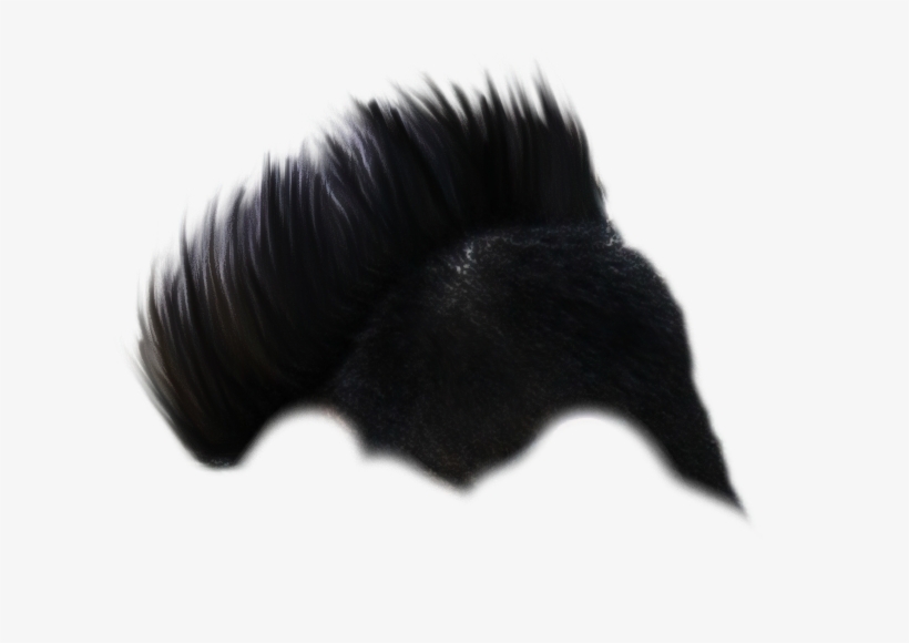 Cb Hair Png,picsartallpng - .com, transparent png download