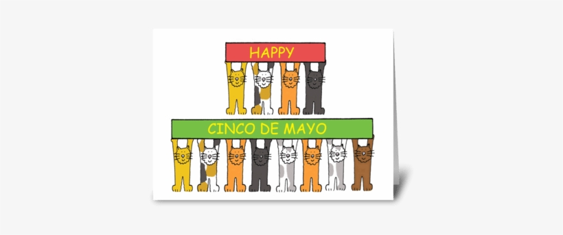 Cinco De Mayo Fun Cats - Thanks For Your Support And Patience, transparent png download