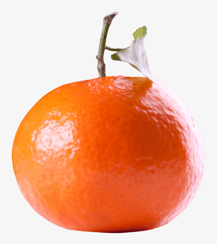 Tangerine Citrus Fruit - Mandarin Orange, transparent png download