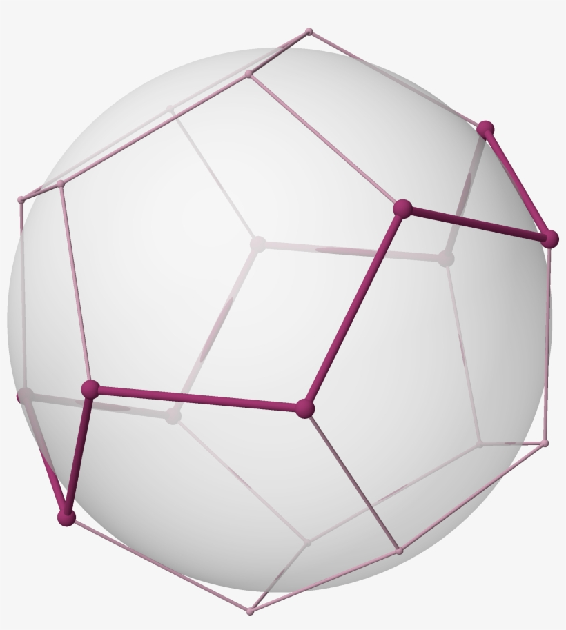 Skeleton 12, Petrie, Stick, Size L - Umbrella, transparent png download