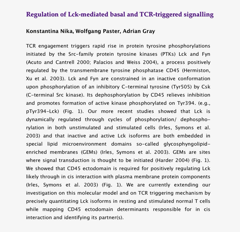 Lck Localises To The Plasma Membrane In Gem Lipid Microdomains - Classicismo Em Portugal, transparent png download